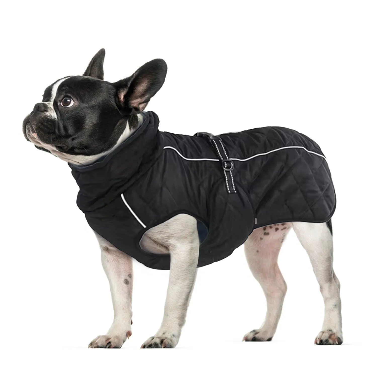 PawArmor French Bulldog Winter Coat Reflective and Insulated Dog Jacket